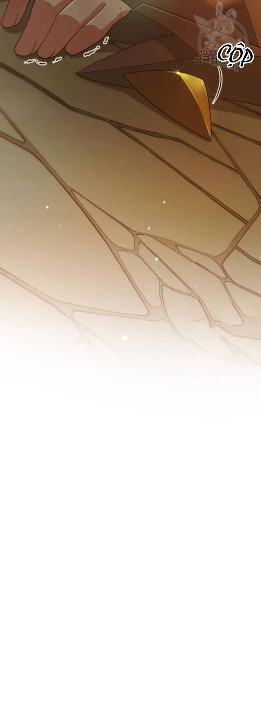 Tôi Đã Quyến Rũ Vị Công Tước Dối Trá - Chương 14.1 - Trang 11