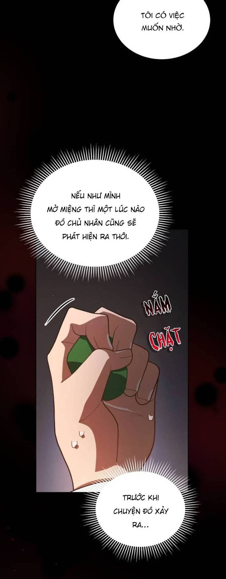 Tôi Đã Quyến Rũ Vị Công Tước Dối Trá - Chương 22.1 - Trang 14