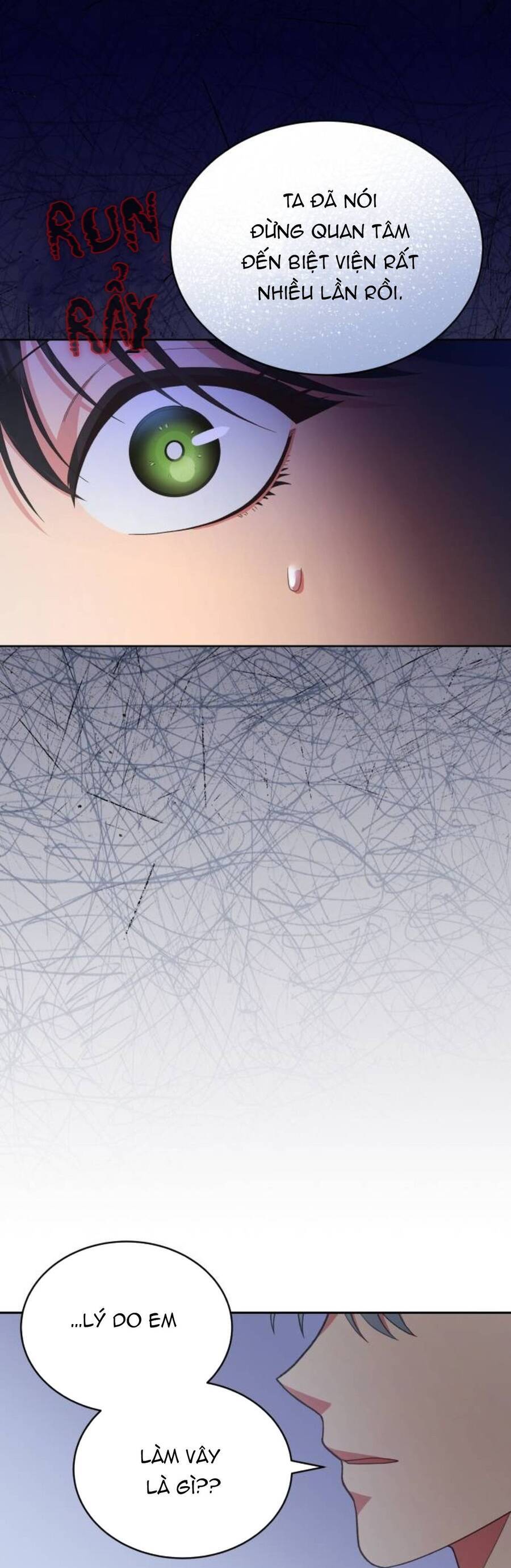 Tôi Đã Quyến Rũ Vị Công Tước Dối Trá - Chương 29.1 - Trang 13