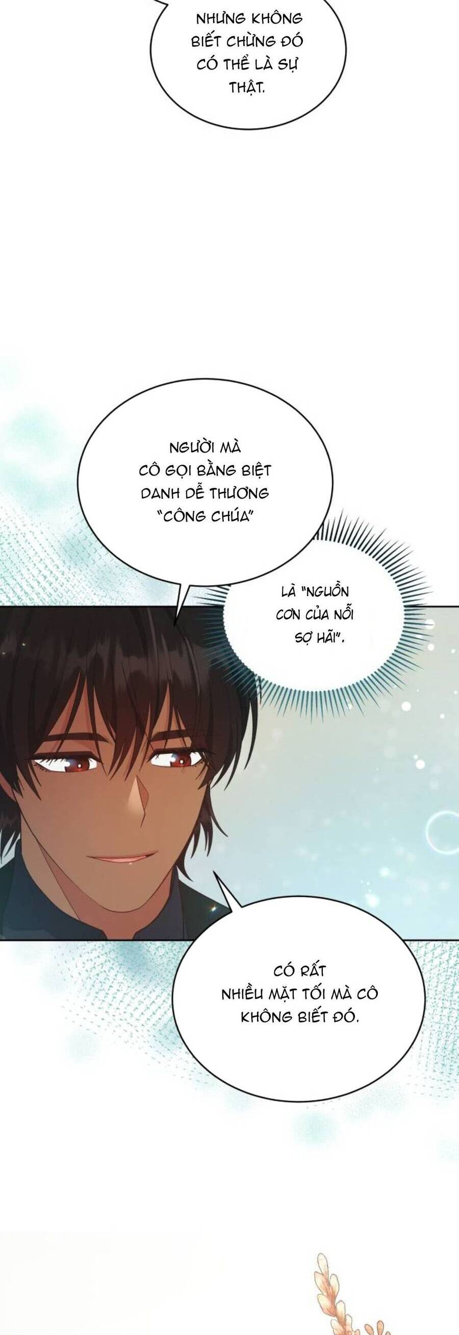 Tôi Đã Quyến Rũ Vị Công Tước Dối Trá - Chương 32.1 - Trang 21