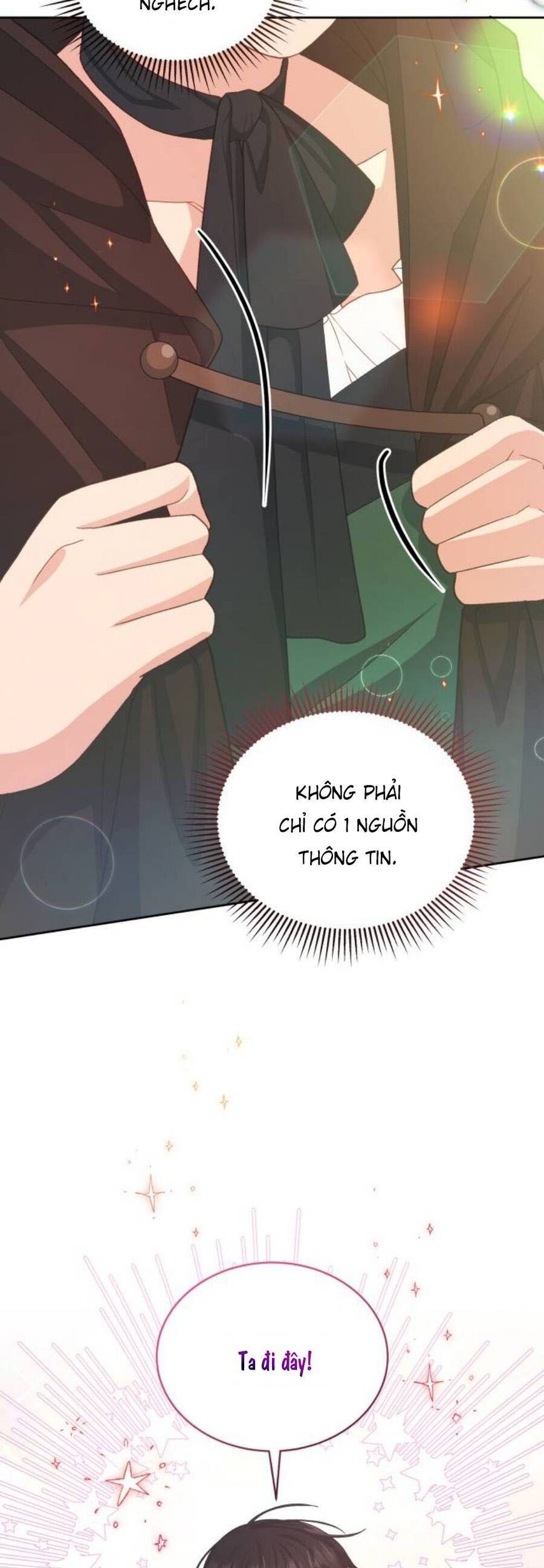 Tôi Đã Quyến Rũ Vị Công Tước Dối Trá - Chương 35.1 - Trang 11