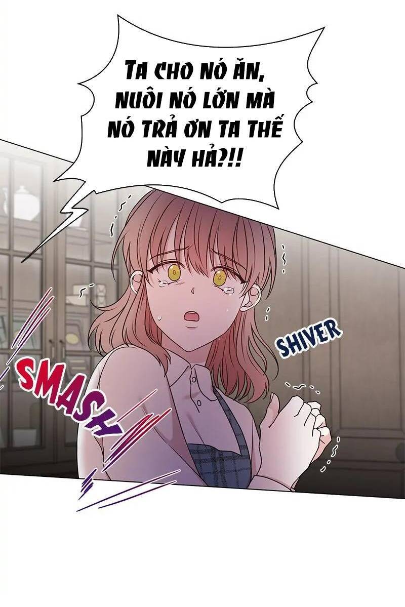 Tôi Chán Nản Vì Chồng Thứ Hai Không Chung Thủy - Chương 21.1 - Trang 18