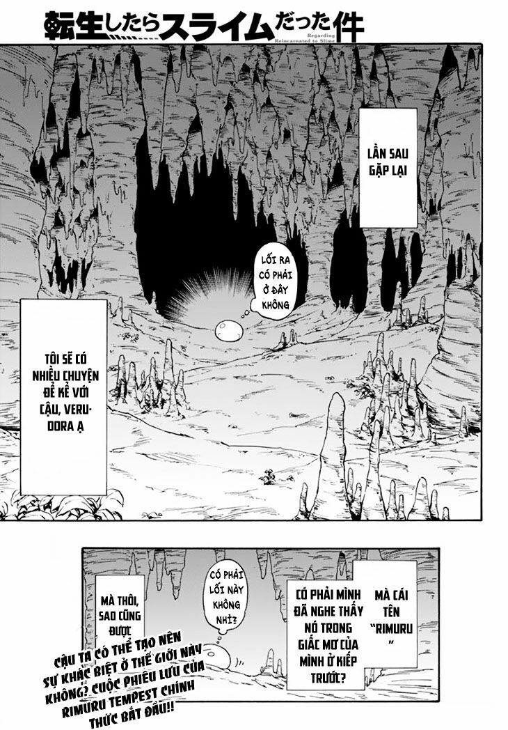 Lúc Đó, Tôi Đã Chuyển Sinh Thành Slime - Chương 1 - Trang 48