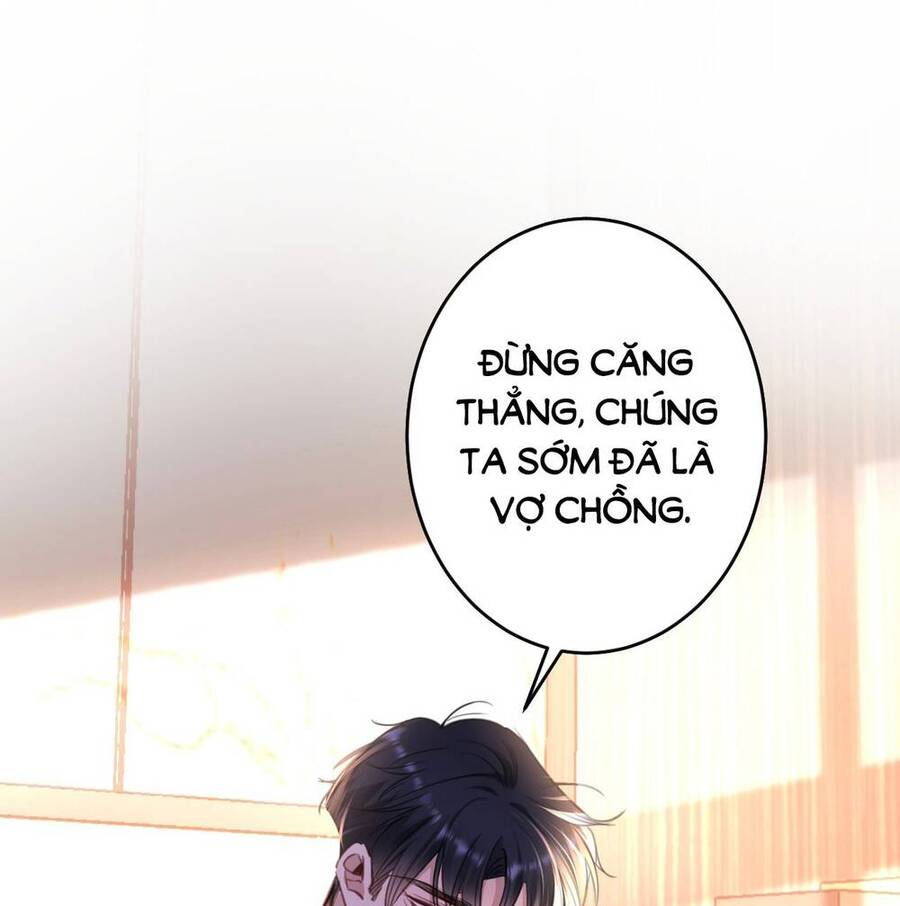 Xin Lỗi, Tôi Cũng Là Lão Đại - Chương 2 - Trang 56