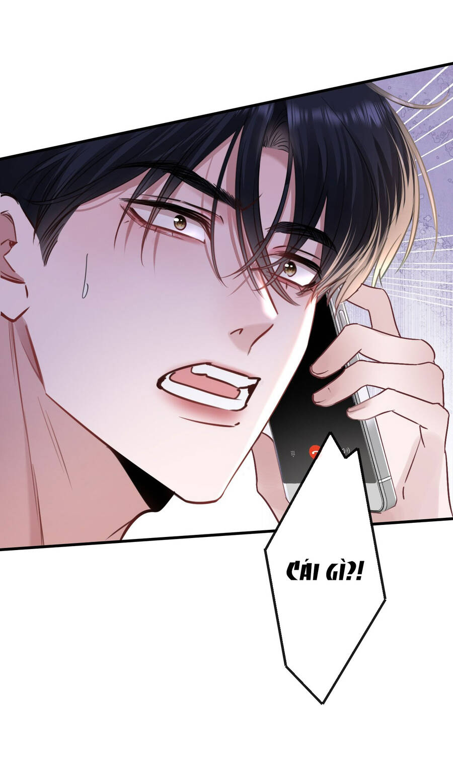 Xin Lỗi, Tôi Cũng Là Lão Đại - Chương 8.2 - Trang 3