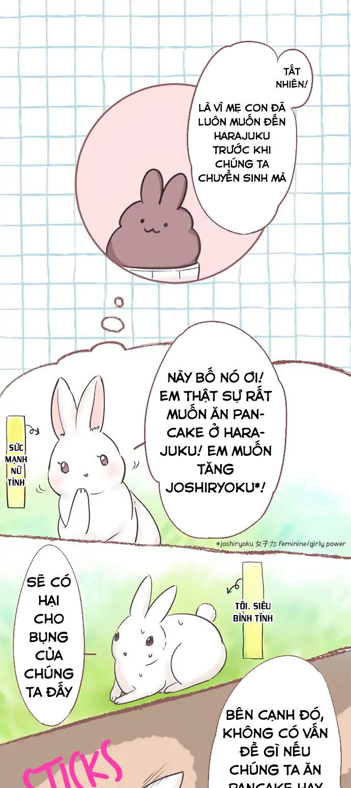 Những Chú Thỏ Ngon Miệng - Chương 2 - Trang 5
