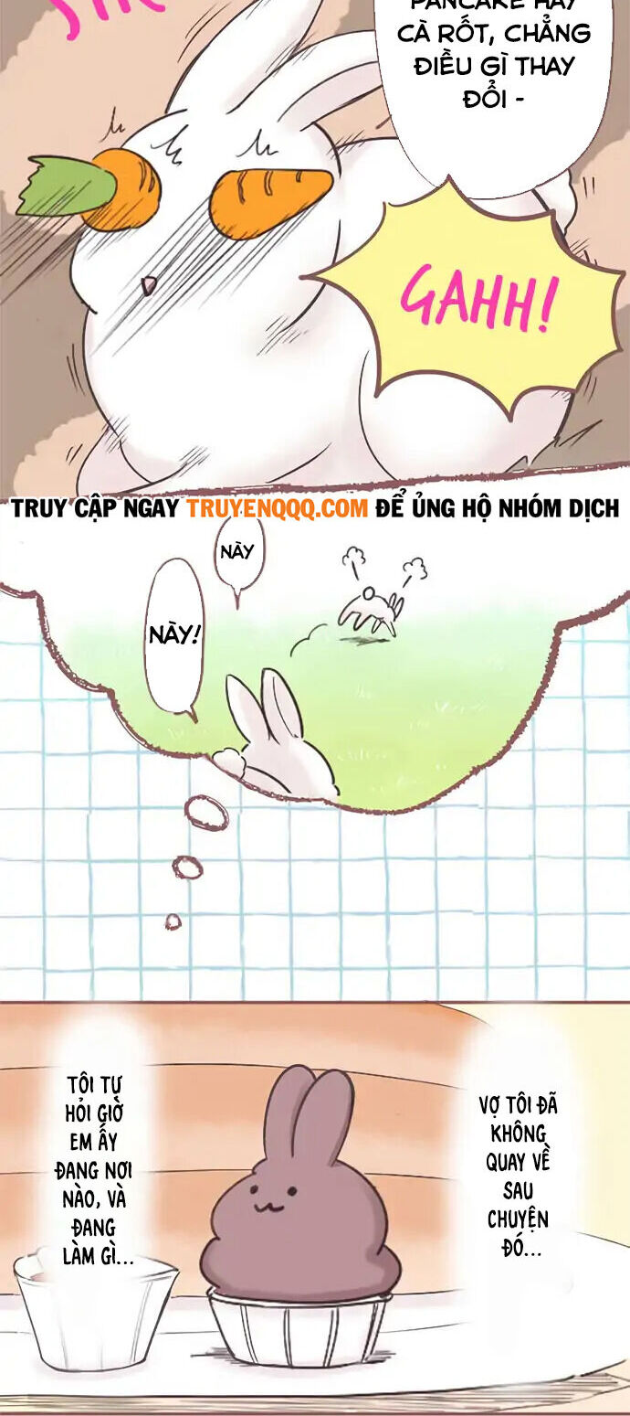 Những Chú Thỏ Ngon Miệng - Chương 2 - Trang 6