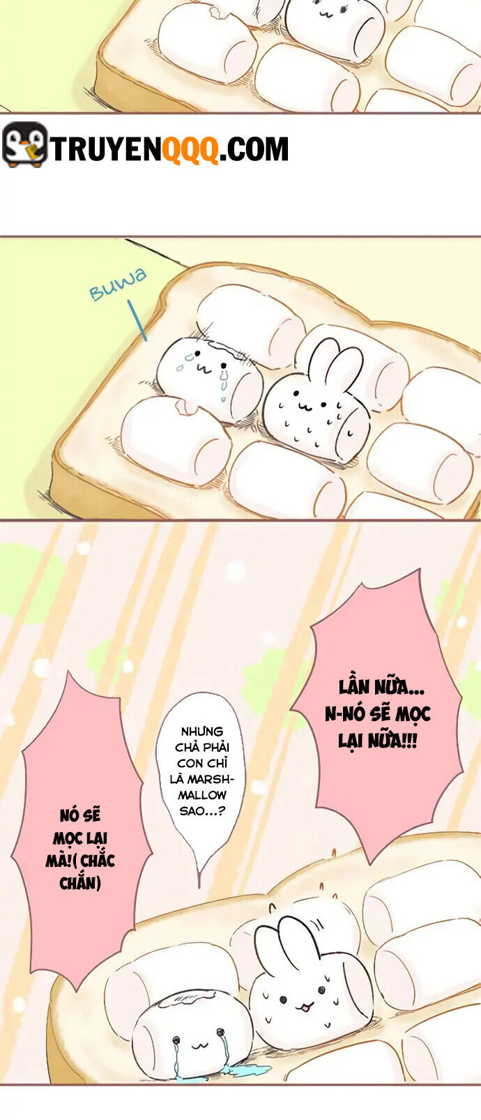 Những Chú Thỏ Ngon Miệng - Chương 3 - Trang 9