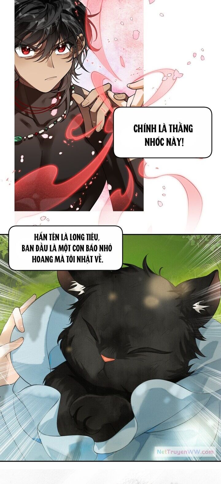 Báo Đen Nhỏ, Cùng Đi Thi Nào! - Chương 1 - Trang 6