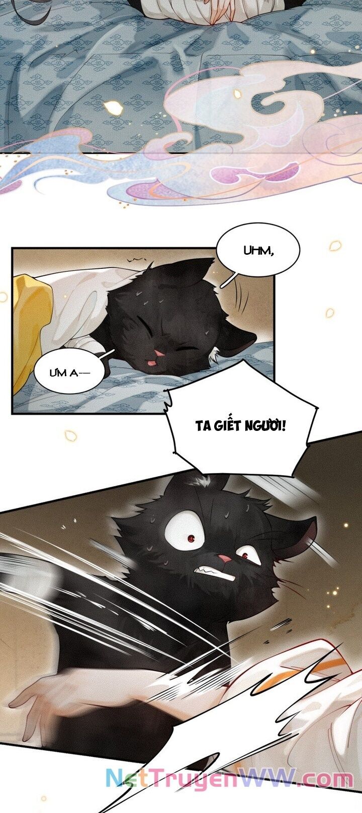 Báo Đen Nhỏ, Cùng Đi Thi Nào! - Chương 2 - Trang 17