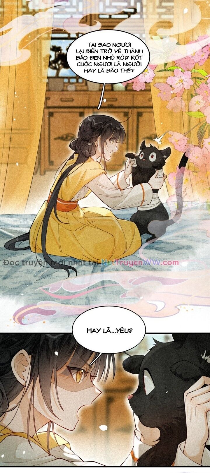 Báo Đen Nhỏ, Cùng Đi Thi Nào! - Chương 2 - Trang 21