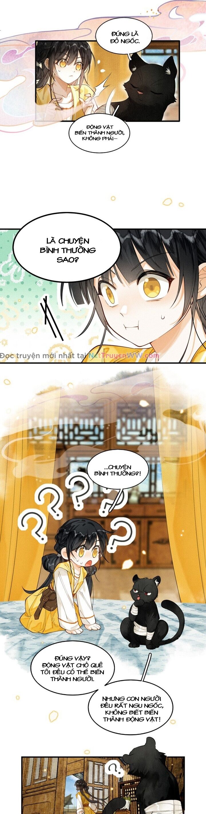 Báo Đen Nhỏ, Cùng Đi Thi Nào! - Chương 2 - Trang 22