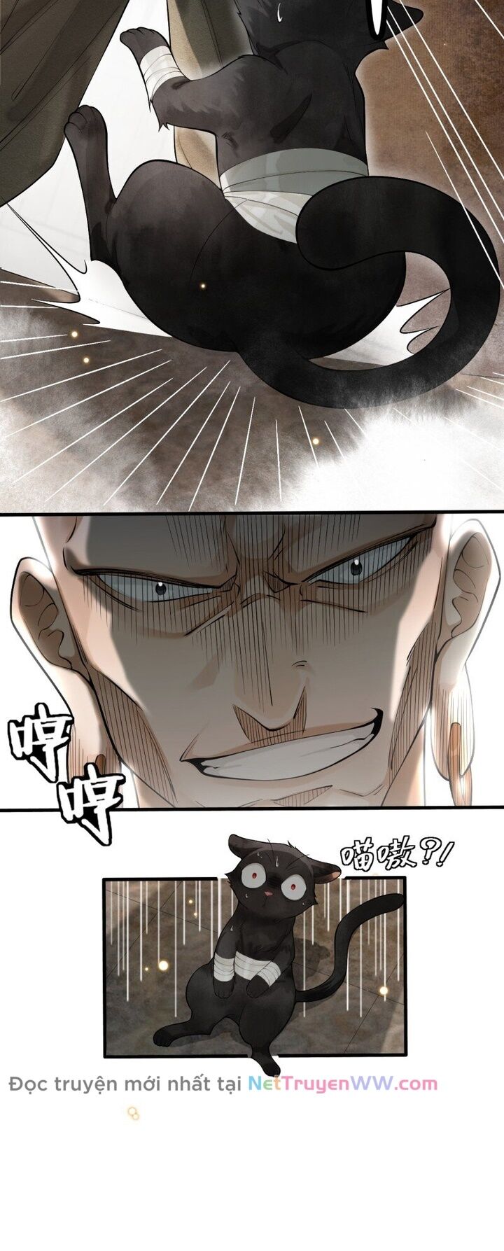Báo Đen Nhỏ, Cùng Đi Thi Nào! - Chương 2 - Trang 26