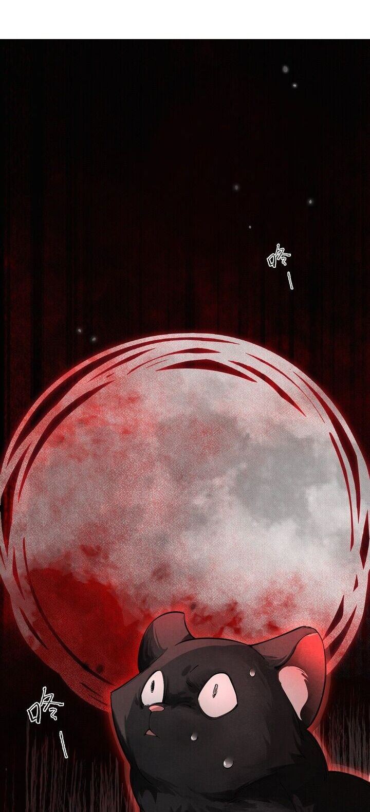 Báo Đen Nhỏ, Cùng Đi Thi Nào! - Chương 5 - Trang 2