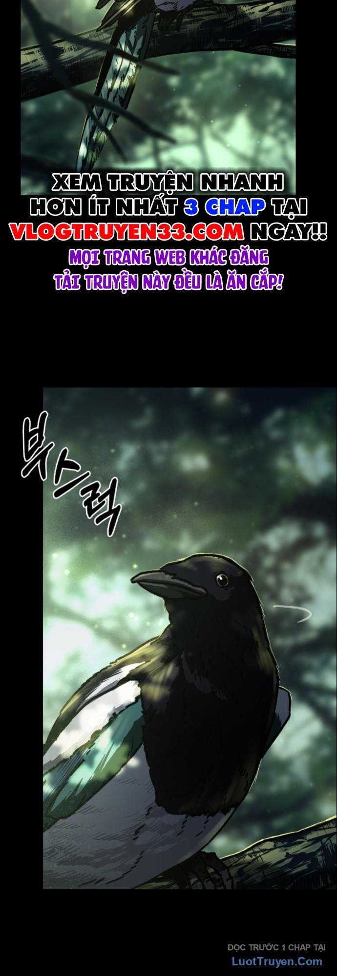 Cửu Long Saroka - Chương 0 - Trang 3