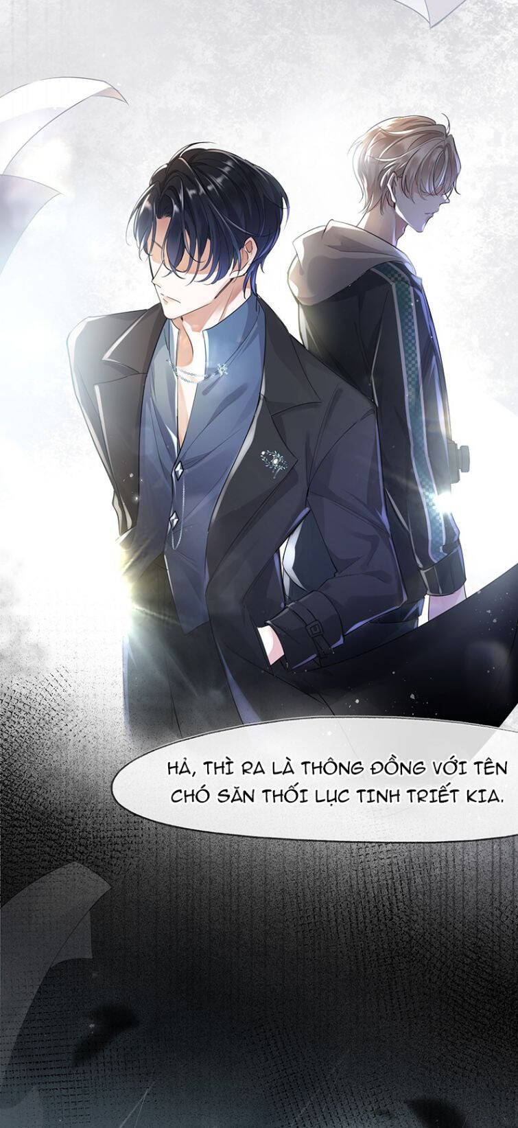 Xuyên Nhanh Chi Cải Tạo Bắt Đầu Lại Làm Người - Chương 1 - Trang 9