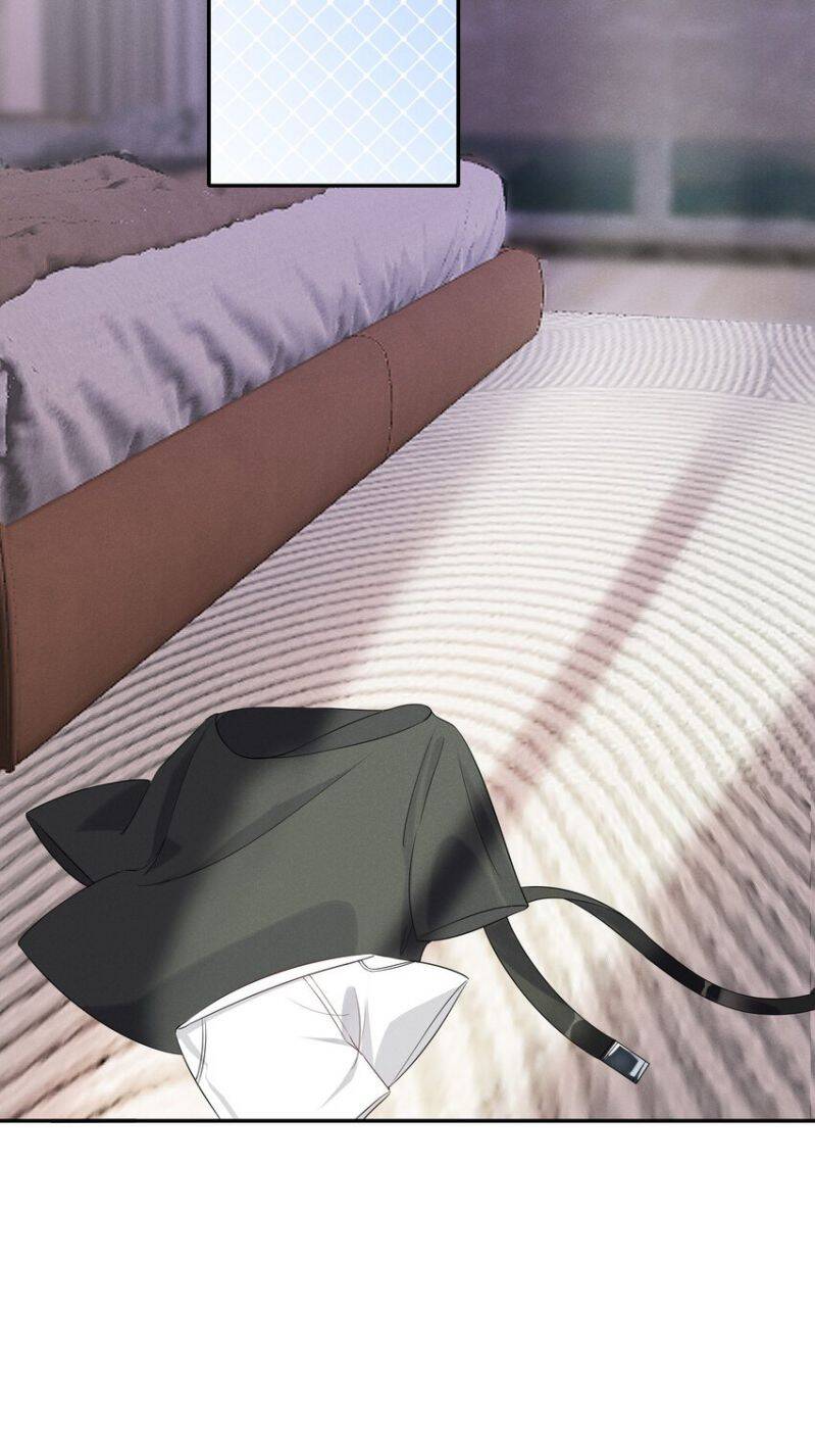 Xuyên Nhanh Chi Cải Tạo Bắt Đầu Lại Làm Người - Chương 19 - Trang 19