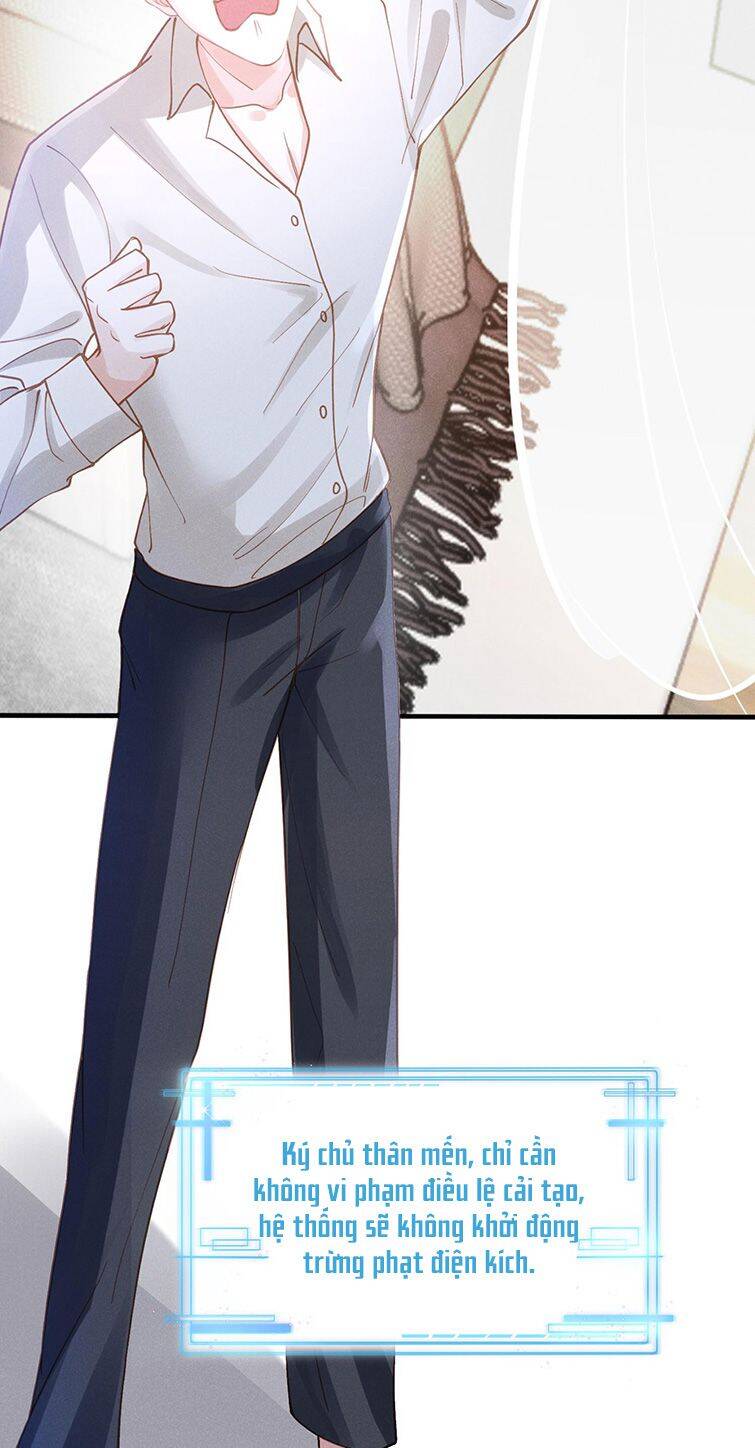 Xuyên Nhanh Chi Cải Tạo Bắt Đầu Lại Làm Người - Chương 29 - Trang 13