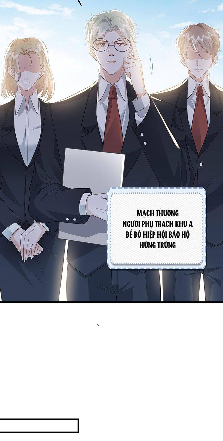 Xuyên Nhanh Chi Cải Tạo Bắt Đầu Lại Làm Người - Chương 32 - Trang 15