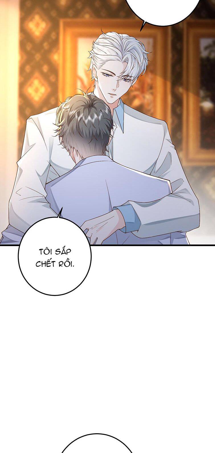 Xuyên Nhanh Chi Cải Tạo Bắt Đầu Lại Làm Người - Chương 38 - Trang 30