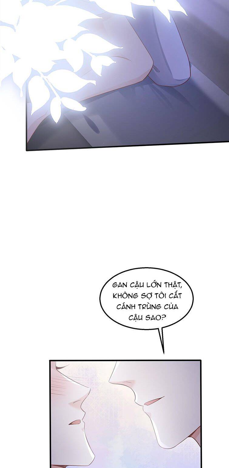 Xuyên Nhanh Chi Cải Tạo Bắt Đầu Lại Làm Người - Chương 39 - Trang 22