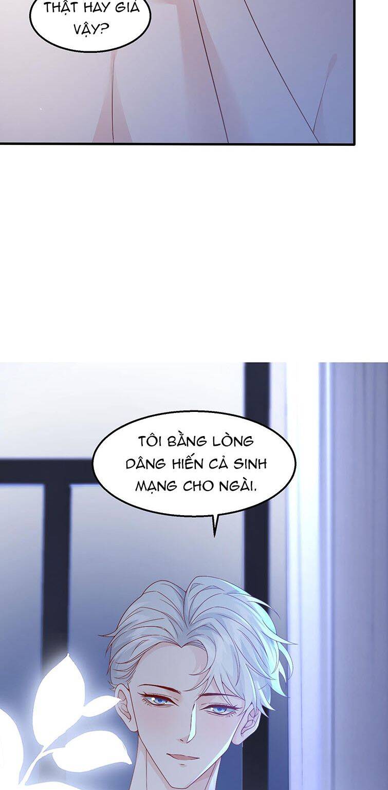 Xuyên Nhanh Chi Cải Tạo Bắt Đầu Lại Làm Người - Chương 39 - Trang 24