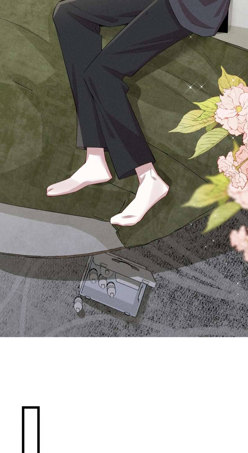 Xuyên Nhanh Chi Cải Tạo Bắt Đầu Lại Làm Người - Chương 62 - Trang 20