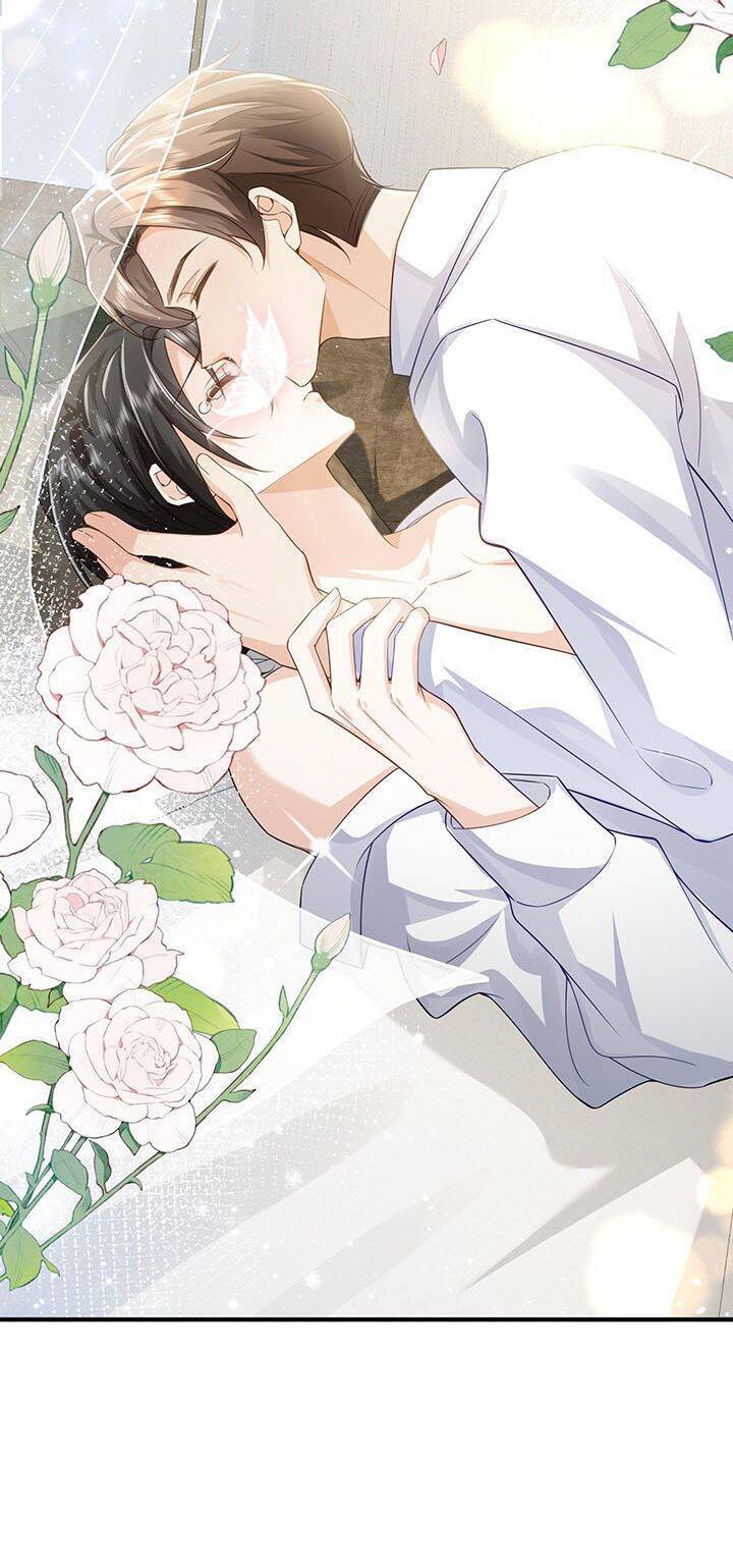 Xuyên Nhanh Chi Cải Tạo Bắt Đầu Lại Làm Người - Chương 73 - Trang 31