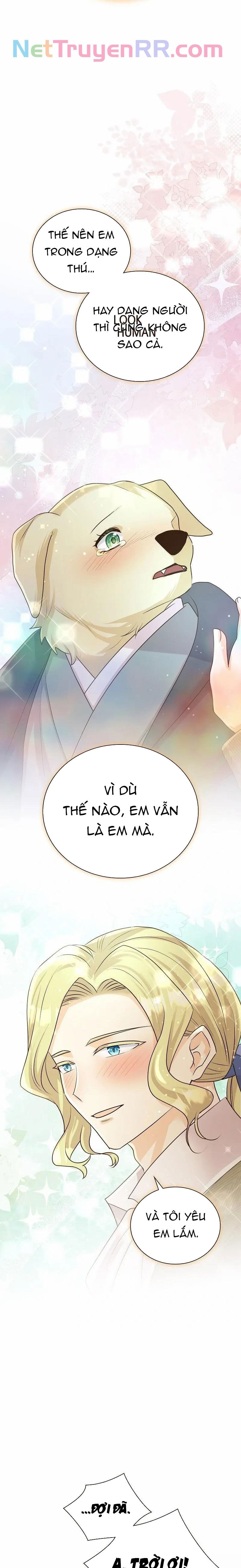 Cô Dâu Của Sói Trắng - Chương 75 - Trang 14