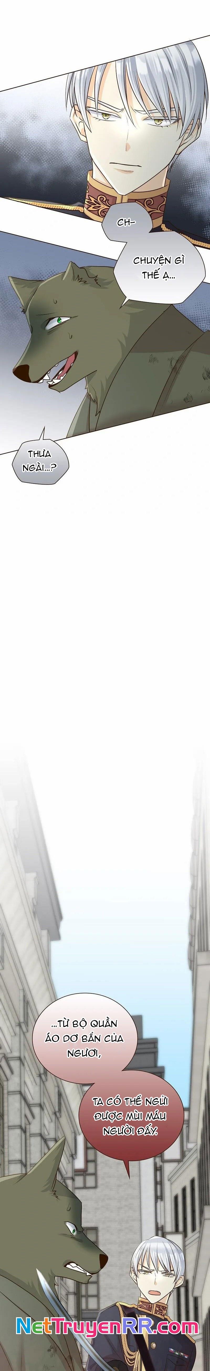 Cô Dâu Của Sói Trắng - Chương 76 - Trang 3