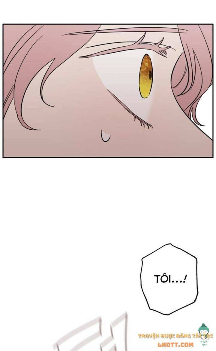 Gia Đình Chồng Vô Cùng Yêu Thích Tôi - Chương 2 - Trang 21