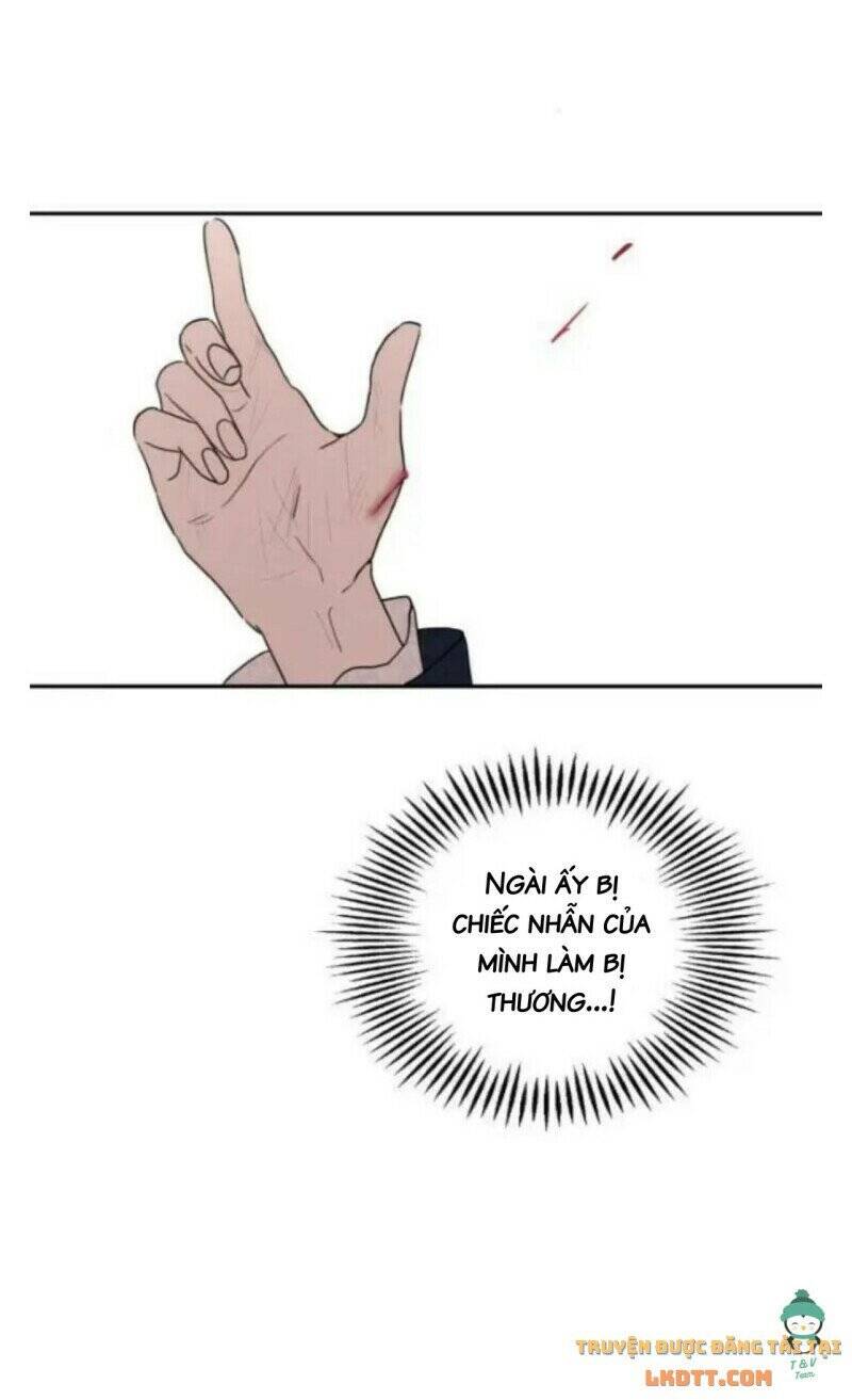 Gia Đình Chồng Vô Cùng Yêu Thích Tôi - Chương 2 - Trang 27