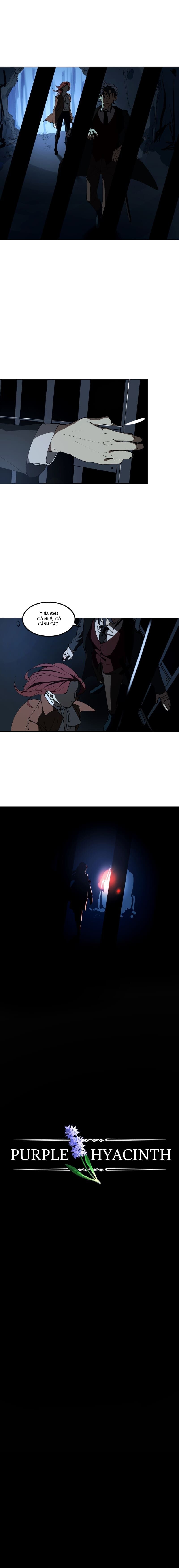 Hoa Lục Bình Tím - Chương 11 - Trang 5