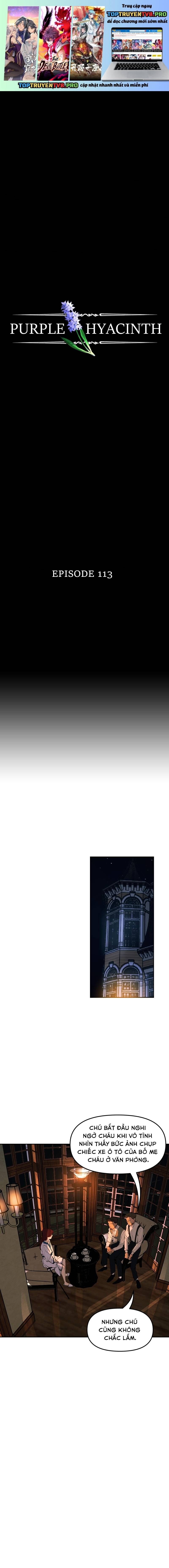 Hoa Lục Bình Tím - Chương 113 - Trang 2