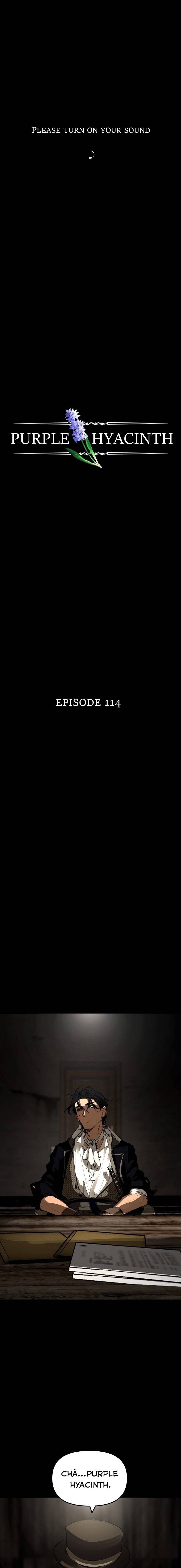 Hoa Lục Bình Tím - Chương 114 - Trang 3