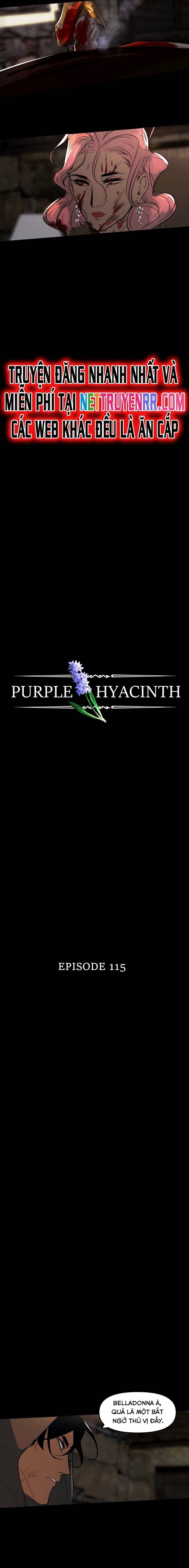 Hoa Lục Bình Tím - Chương 115 - Trang 7