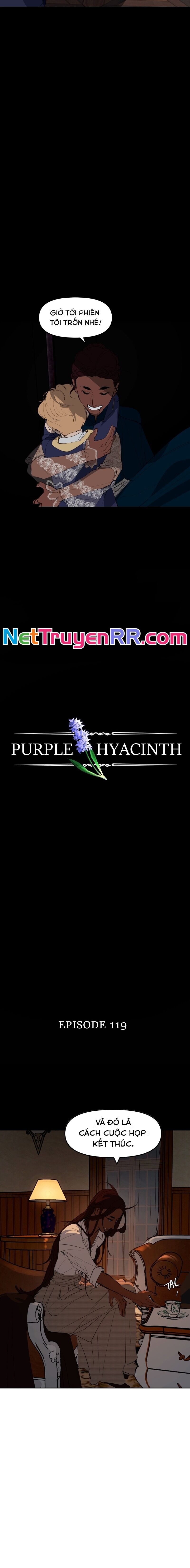 Hoa Lục Bình Tím - Chương 119.1 - Trang 3