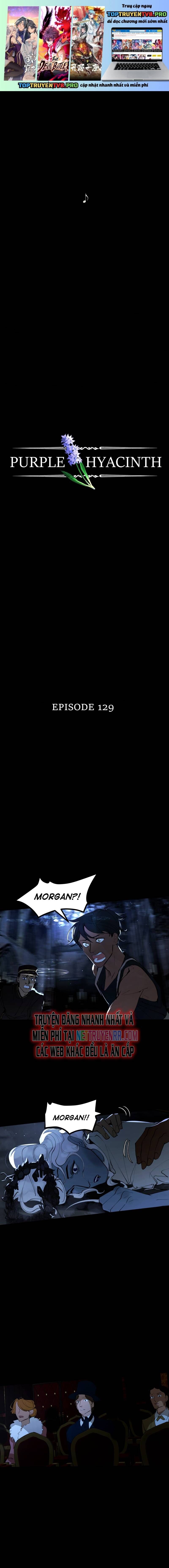 Hoa Lục Bình Tím - Chương 129 - Trang 2
