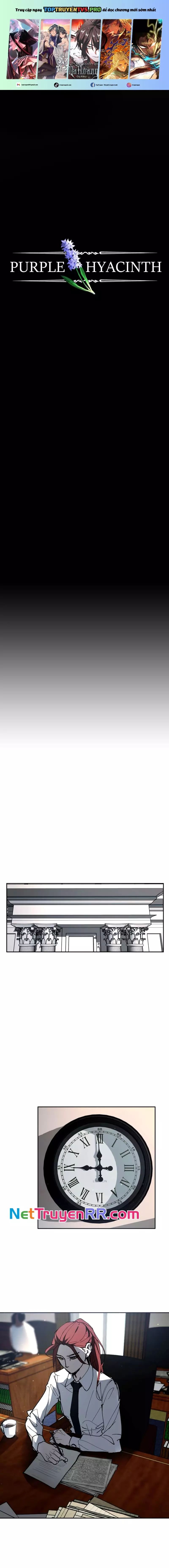 Hoa Lục Bình Tím - Chương 13 - Trang 2