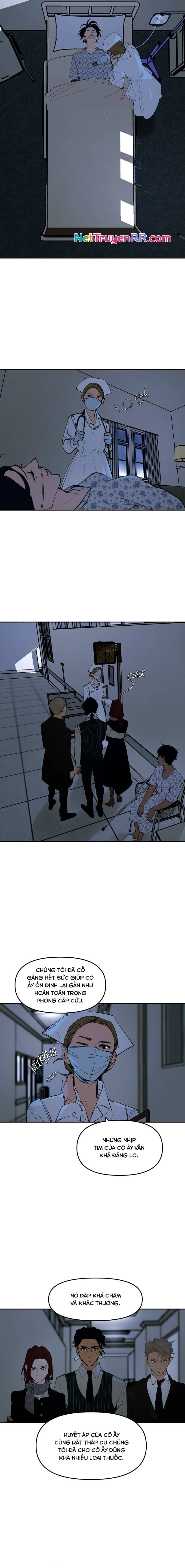 Hoa Lục Bình Tím - Chương 134 - Trang 4