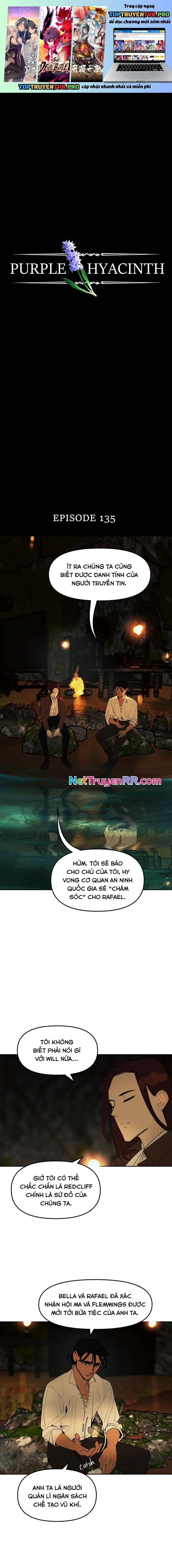 Hoa Lục Bình Tím - Chương 135 - Trang 2