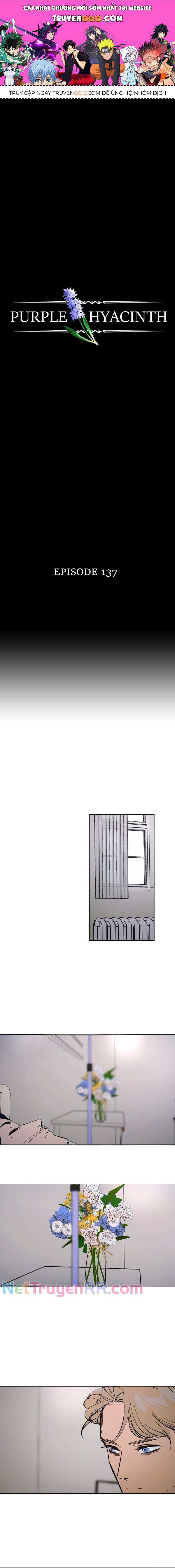 Hoa Lục Bình Tím - Chương 137 - Trang 1
