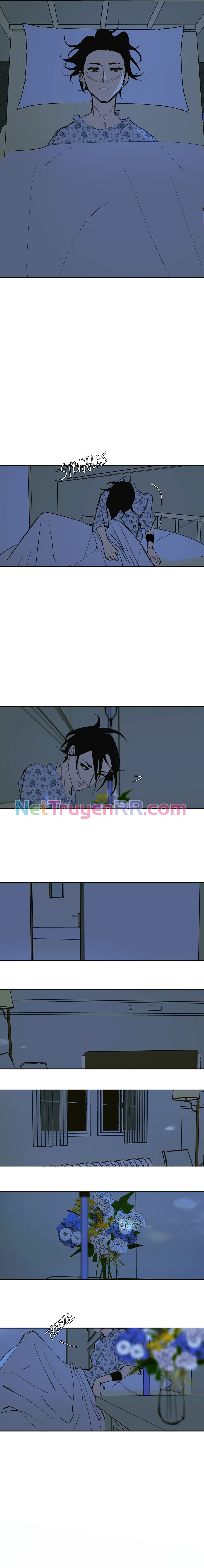 Hoa Lục Bình Tím - Chương 139.1 - Trang 4