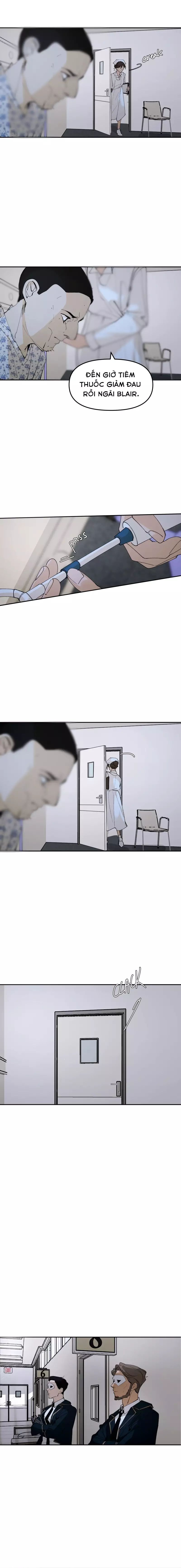 Hoa Lục Bình Tím - Chương 146 - Trang 6