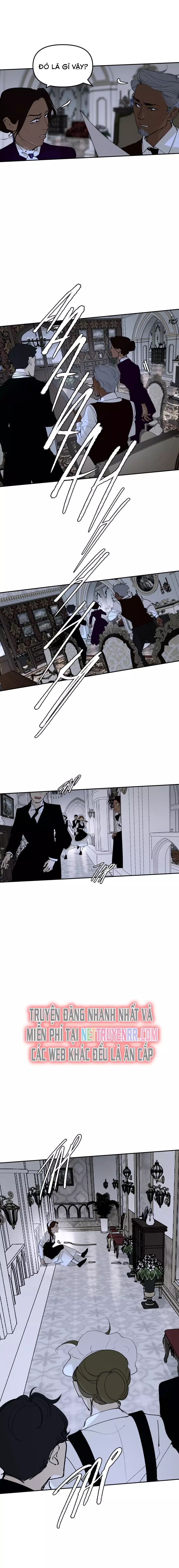 Hoa Lục Bình Tím - Chương 149 - Trang 4