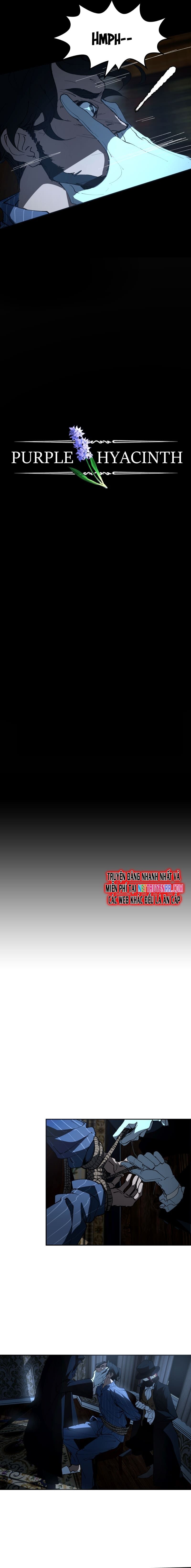 Hoa Lục Bình Tím - Chương 15 - Trang 3