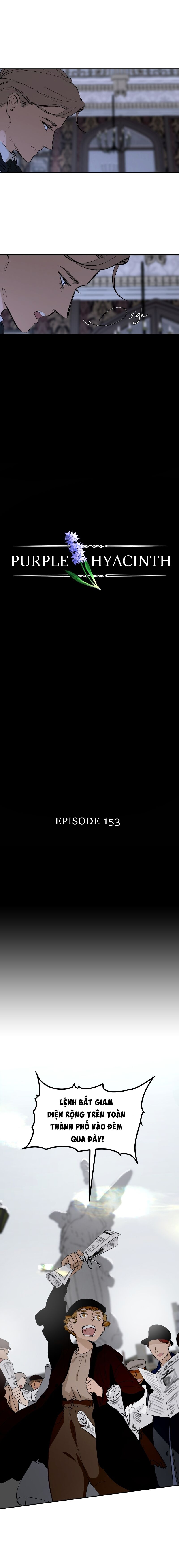 Hoa Lục Bình Tím - Chương 153 - Trang 4