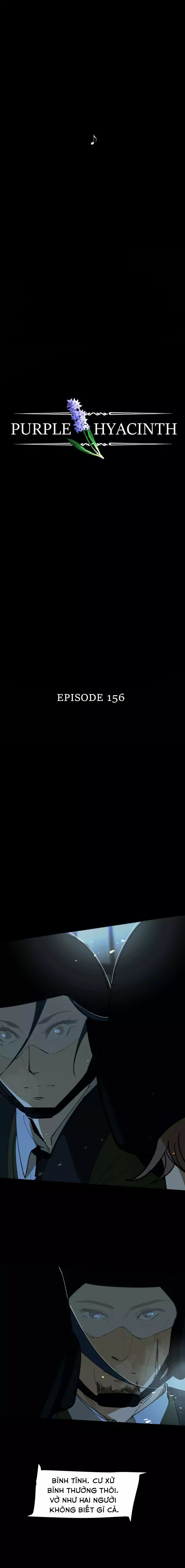 Hoa Lục Bình Tím - Chương 156 - Trang 3