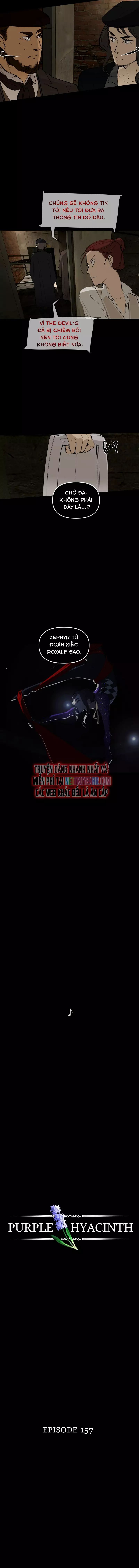 Hoa Lục Bình Tím - Chương 157 - Trang 4