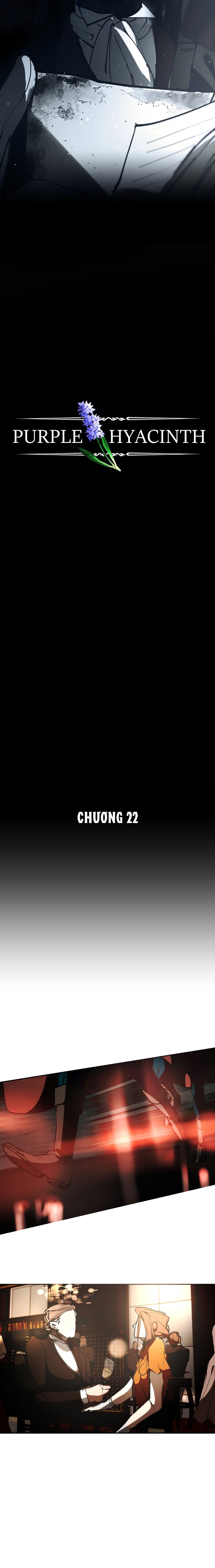 Hoa Lục Bình Tím - Chương 22 - Trang 6